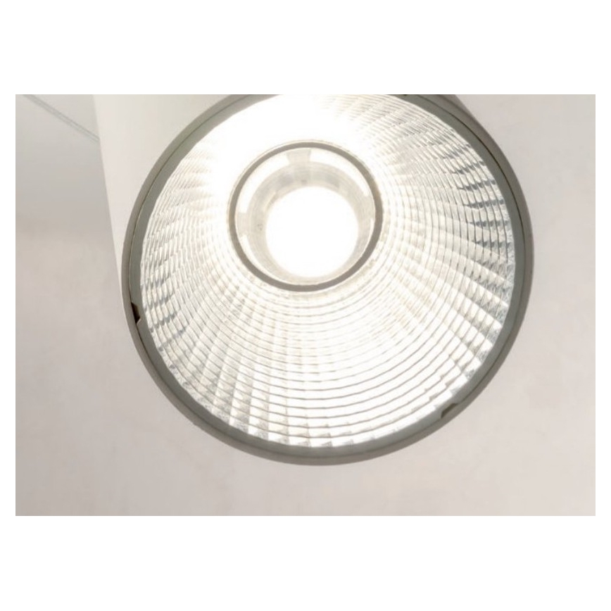 Redo 01-1970 - LED prigušiva luster na sajli ESSENCE LED/24W/230V CRI 90 3000K beo