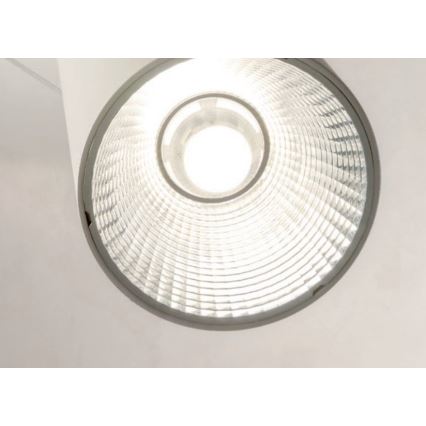 Redo 01-1971 - LED prigušiva luster na sajli ESSENCE LED/36W/230V CRI 90 3000K bela