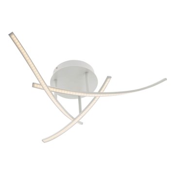 Redo 01-2184 - LED plafonska svetiljka SPATHA 3xLED/6W/230V 3000K bela