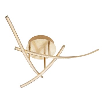 Redo 01-2185 - LED plafonsko svetlo SPATHA 3xLED/6W/230V 3000K zlatno