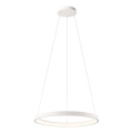 Redo 01-2672 - LED prigušiva luster na sajli ICONIC LED/50W/230V Ø 58 cm bela