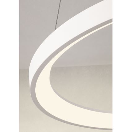 Redo 01-2672 - LED prigušiva luster na sajli ICONIC LED/50W/230V Ø 58 cm bela