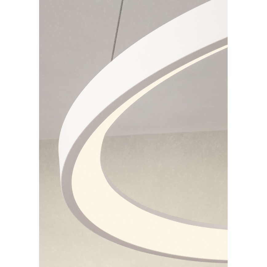 Redo 01-2672 - LED prigušiva luster na sajli ICONIC LED/50W/230V Ø 58 cm bela