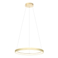 Redo 01-2673 - LED prigušiva luster na sajli ICONIC LED/50W/230V pr. 58 cm zlatna