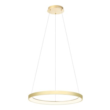 Redo 01-2673 - LED prigušiva luster na sajli ICONIC LED/50W/230V pr. 58 cm zlatna