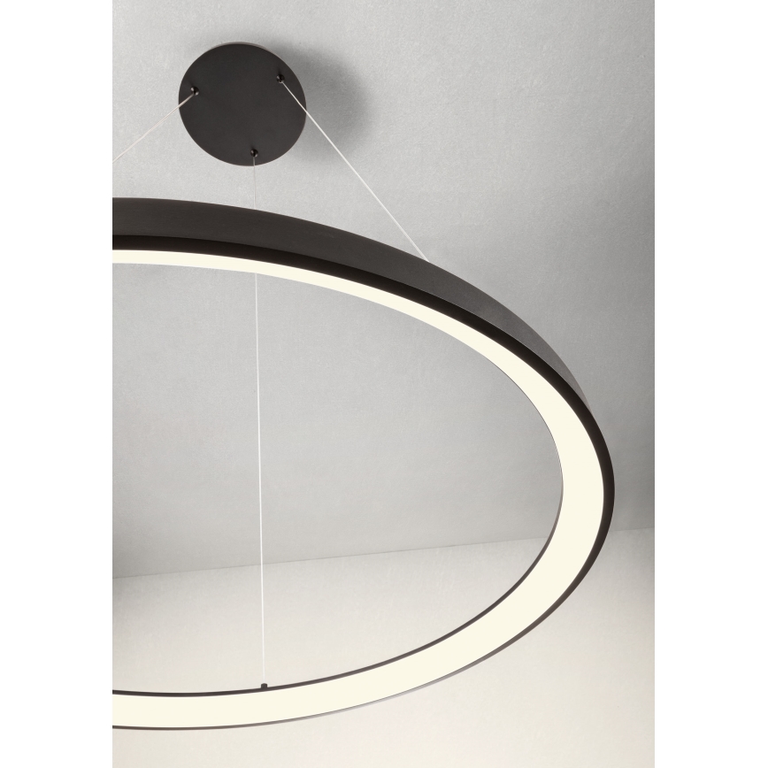 Redo 01-2674 - LED prigušiva luster na sajli ICONIC LED/50W/230V, prečnik 58 cm, crna