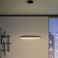 Redo 01-2674 - LED prigušiva luster na sajli ICONIC LED/50W/230V, prečnik 58 cm, crna