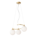 Redo 01-2715 - Viseći luster na sajli VOLLEY 3xE14/28W/230V zlatna