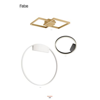 Redo 01-2835 - LED prigušiva zidna svetiljka FEBE LED/24W/230V zlatna
