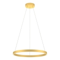 Redo 01-2865 - LED prigušiva luster na sajli FEBE LED/37W/230V zlatna