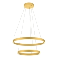Redo 01-2889 - LED prigušiva luster na sajli FEBE LED/62W/230V zlatna