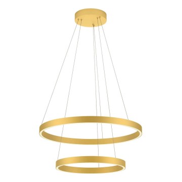 Redo 01-2889 - LED prigušiva luster na sajli FEBE LED/62W/230V zlatna