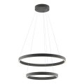Redo 01-2891 - LED prigušiva luster na sajli FEBE LED/62W/230V crni