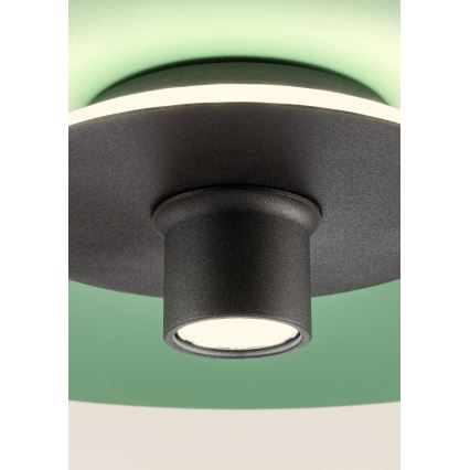 Redo 01-3019 - LED luster na sajli LARS LED/14W/230V + LED/10W prečnik 60 cm CRI 90, zelene boje
