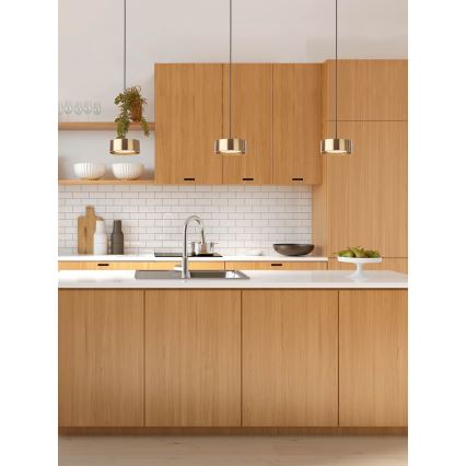 Redo 01-3100 - LED luster na sajli PUNKT LED/6W/230V prečnik 15 cm mesing