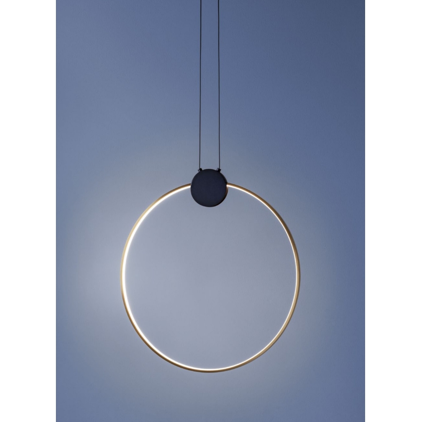Redo 01-3107 - LED luster na sajli ATOM LED/20W/230V Ø 60 cm
