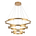 Redo 01-3181 - LED prigušiva luster na sajli CASTLE LED/80W/230V zlatna