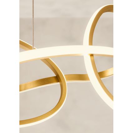 Redo 01-3392 - LED prigušiva luster na sajli BIAS LED/120W/230V 3000/4500/6500K CRI 90 zlatna