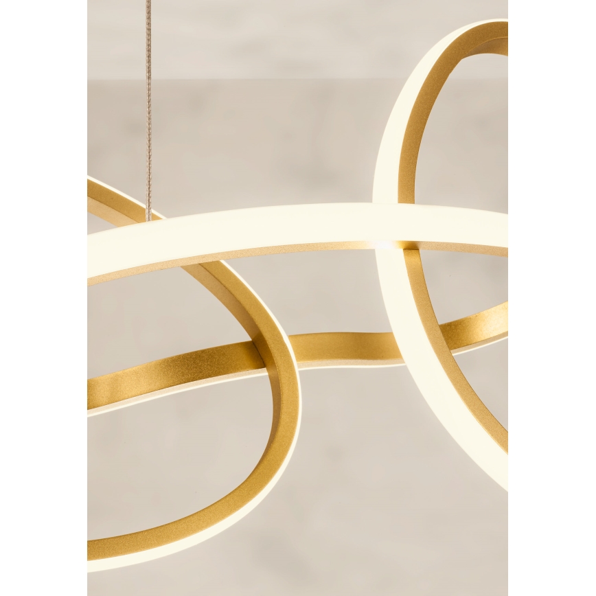 Redo 01-3392 - LED prigušiva luster na sajli BIAS LED/120W/230V 3000/4500/6500K CRI 90 zlatna