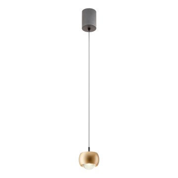 Redo 01-3547 - LED luster na sajli AVES LED/12W/230V, prečnik 9,6 cm, CRI 90, zlatna