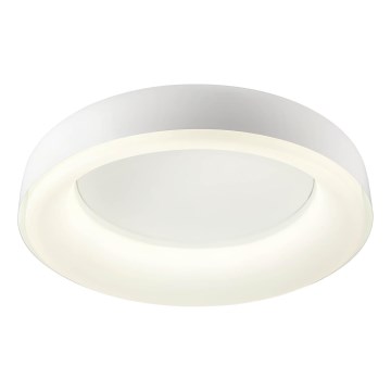 Redo 01-3941 - LED plafonsko svetlo DIP LED/40W/230V 2700/3000/4000/5000/6500K CRI 90 prečnik 62,4 cm bela