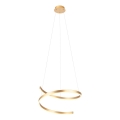 Redo 01-4014 - prigušiva LED luster na sajli SCROLL LED/38W/230V 3000K/4000K/6000K CRI 90 prečnik 60 cm zlatna