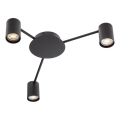 Redo 01-4050 - Spot svetlo NOA 3xGU10/10W/230V crno