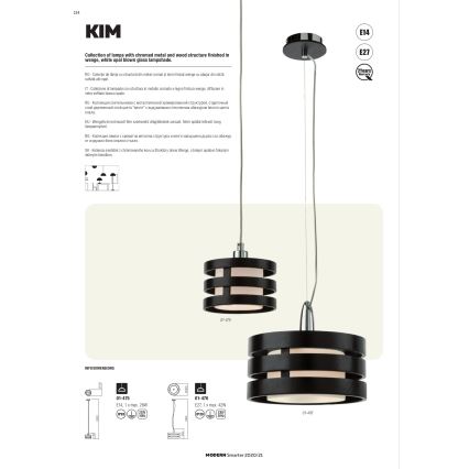 Redo 01-627 - Luster na šipci KIM 4xE14/28W/230V sjajni hrom/crna