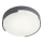 Redo 90005 - LED spoljašnje plafonsko svetlo SKOR LED/16W/230V IP54