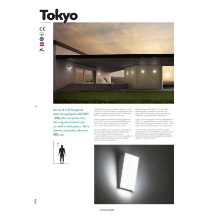 Redo 90019 - LED spoljna zidna svetiljka TOKYO LED/12W/230V 3000K IP54 siva
