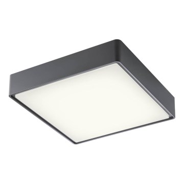 Redo 90158 - LED spoljašnje plafonsko svetlo MARINA LED/16W/230V 29,6x29,6 cm IP65 antracit