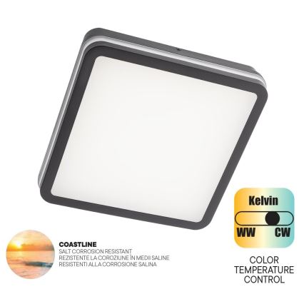 Redo 90288 - LED spoljašnje plafonsko svetlo ISOLA LED/24W/230V 26x26 cm 3000/4000/6500K IP54 antracit