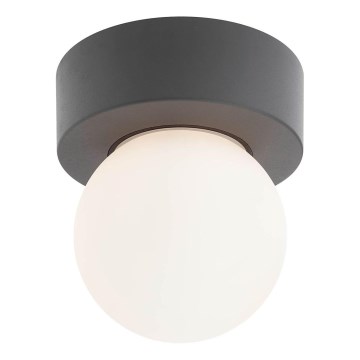 Redo 90641 - Spoljašnja plafonska svetiljka BULK 1xE27/28W/230V IP44 antracitna