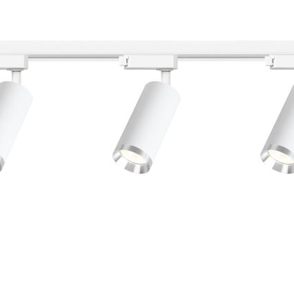 Reflektor za šinski sistem MICA 3xGU10/10W/230V bela/mat hrom