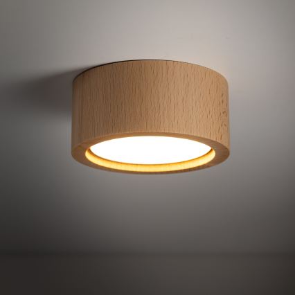 Reflektorska svetiljka EVE 1xGX53/11W/230V bukva