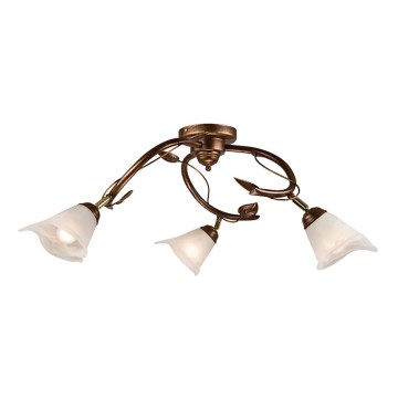 Reflektorska svetiljka IVY 3xE14/40W/230V