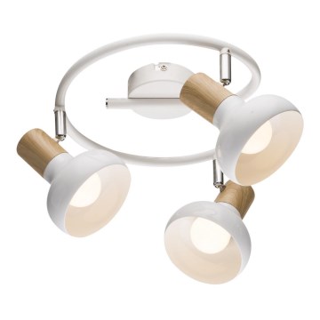 Reflektorska svetiljka PUERTO 3xE14/40W/230V