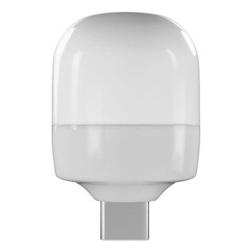 Retlux - LED baterijska lampa 0,3W/USB