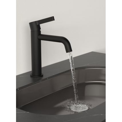 Sapho - Slavina za umivaonik ICONIC 18,7 cm mat crna