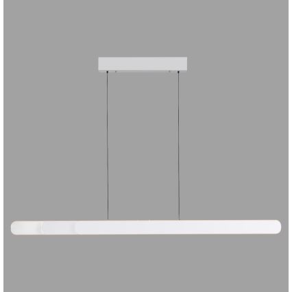 Schöner Wohnen 12577-16 - LED prigušiva luster na sajli ADRIANA ROUND 2xLED/24W/230V 2700/3000/3500/4000/5000K 160 cm bela