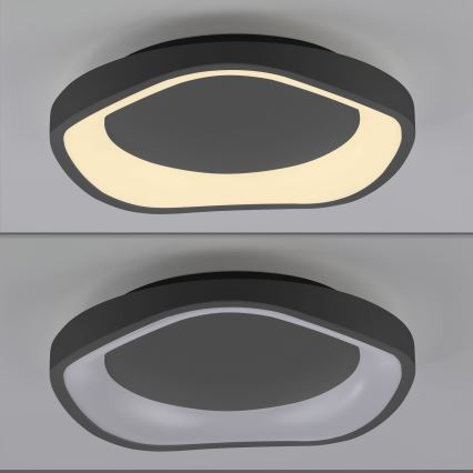Schöner Wohnen 14233-18 - LED prigušiva plafonska svetiljka MONTA LED/21W/230V Ø 40 cm crna