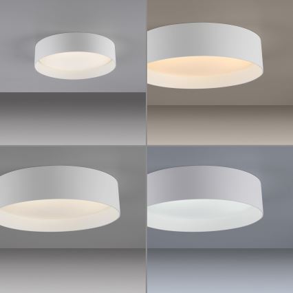 Schöner Wohnen 14593-16 - LED prigušiva plafonska svetiljka TAVOLI LED/10W/230V 2700-6500K prečnik 28,5 cm bela + daljinski upravljač