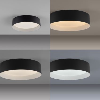 Schöner Wohnen 14593-18 - LED prigušiva stropno svetlo TAVOLI LED/10W/230V 2700-6500K prečnik 28,5 cm crno + daljinski upravljač
