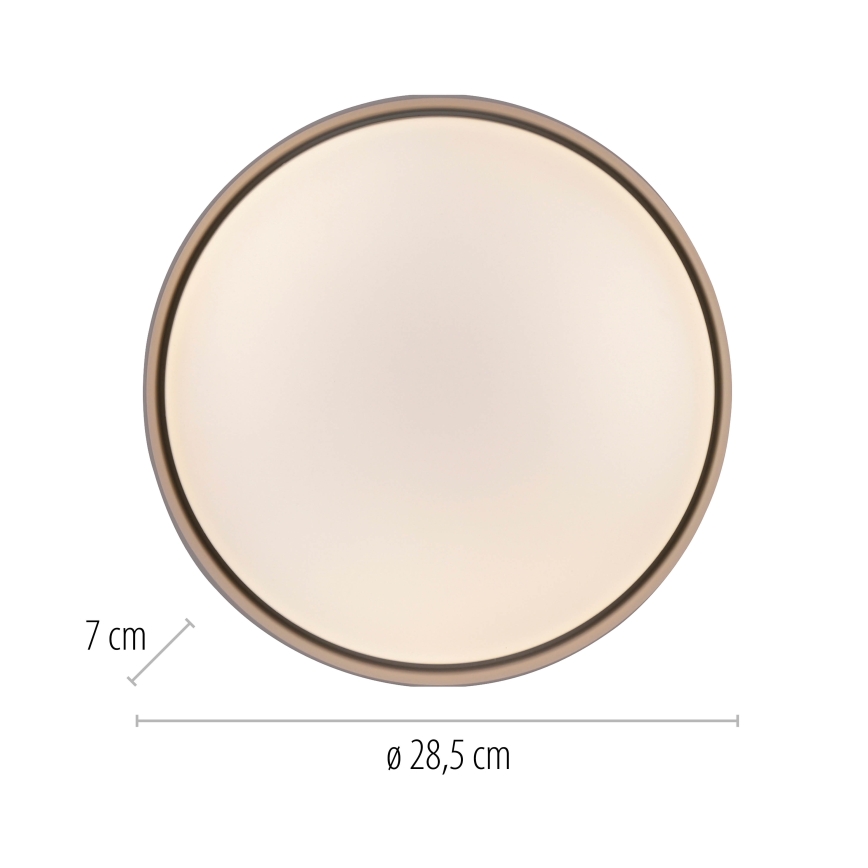 Schöner Wohnen 14593-39 - LED prigušiva plafonska svetiljka TAVOLI LED/10W/230V 2700-6500K prečnik 28,5 cm siva + daljinsko upravljanje