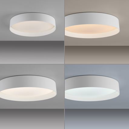 Schöner Wohnen 14594-16 - TAVOLI LED prigušiva plafonska svetiljka LED/20W/230V 2700-6500K prečnik 39 cm bela + daljinski upravljač