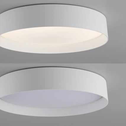 Schöner Wohnen 14594-16 - TAVOLI LED prigušiva plafonska svetiljka LED/20W/230V 2700-6500K prečnik 39 cm bela + daljinski upravljač