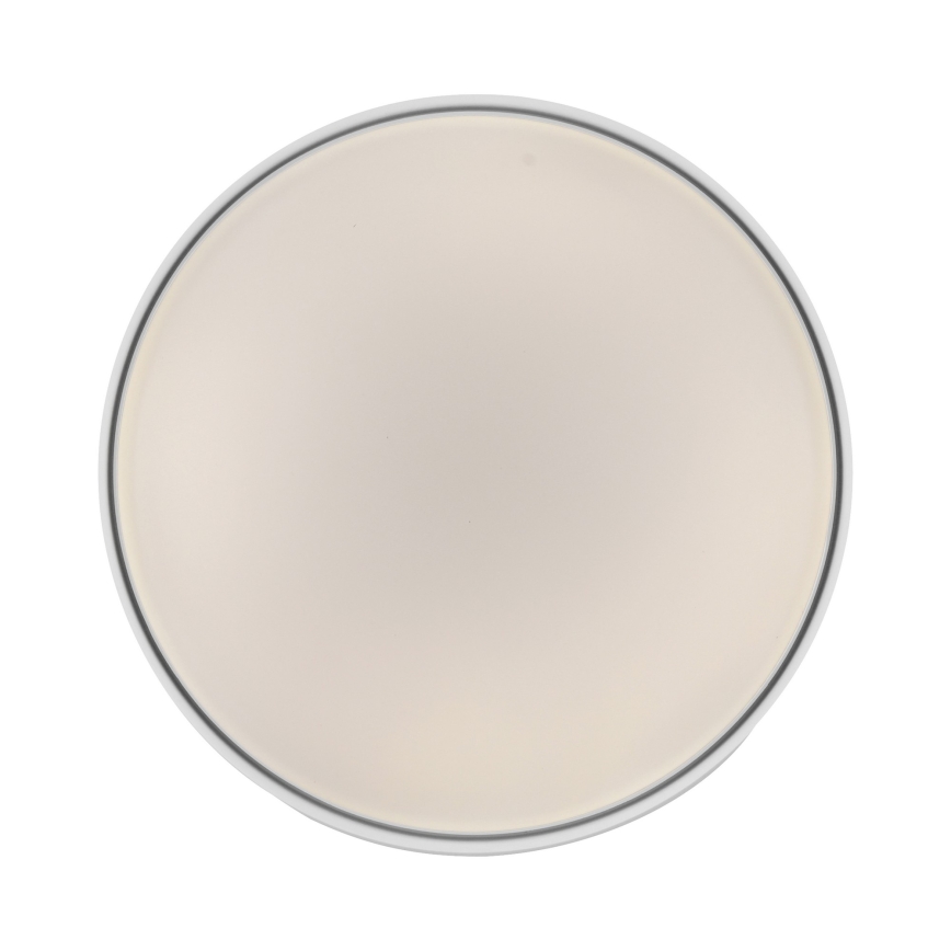 Schöner Wohnen 14594-16 - TAVOLI LED prigušiva plafonska svetiljka LED/20W/230V 2700-6500K prečnik 39 cm bela + daljinski upravljač