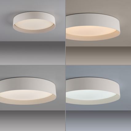 Schöner Wohnen 14594-39 - LED prigušiva stropna svetiljka TAVOLI LED/20W/230V 2700-6500K prečnik 39 cm siva + daljinski upravljač
