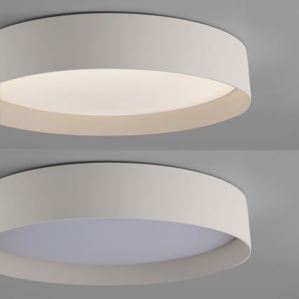 Schöner Wohnen 14594-39 - LED prigušiva stropna svetiljka TAVOLI LED/20W/230V 2700-6500K prečnik 39 cm siva + daljinski upravljač