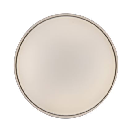 Schöner Wohnen 14594-39 - LED prigušiva stropna svetiljka TAVOLI LED/20W/230V 2700-6500K prečnik 39 cm siva + daljinski upravljač